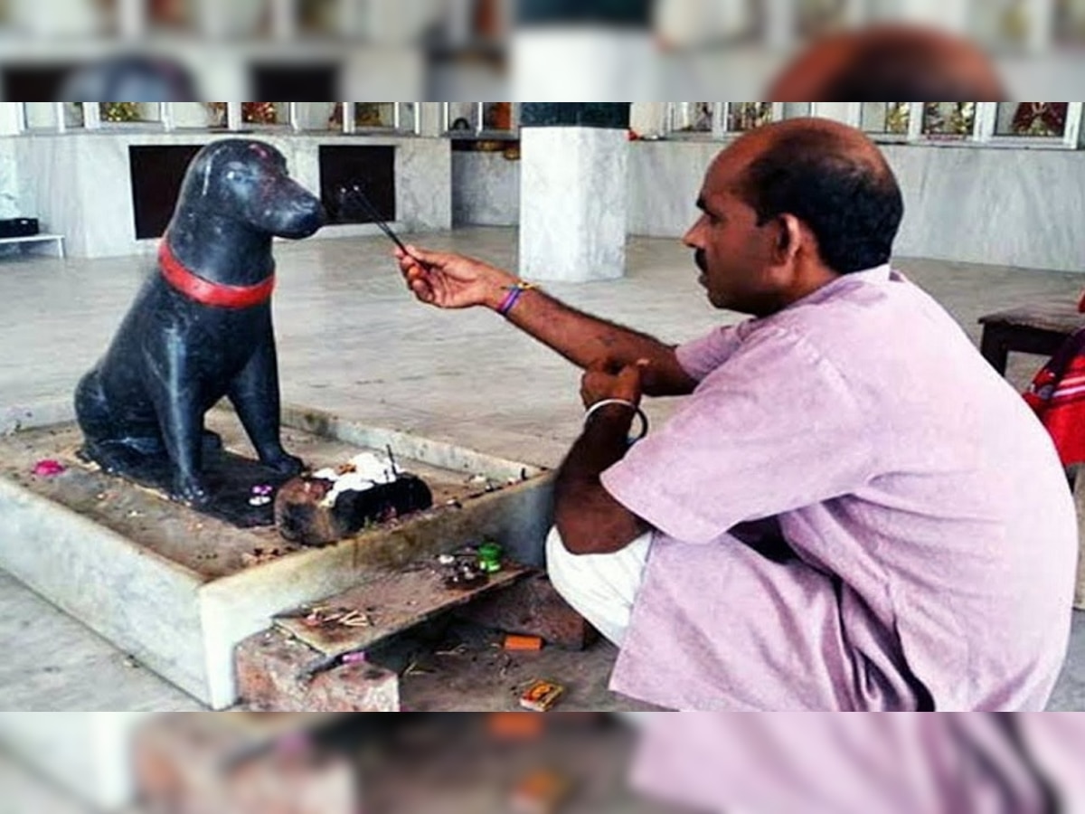 कुकुरदेव मंदिर (फाइल फोटो)