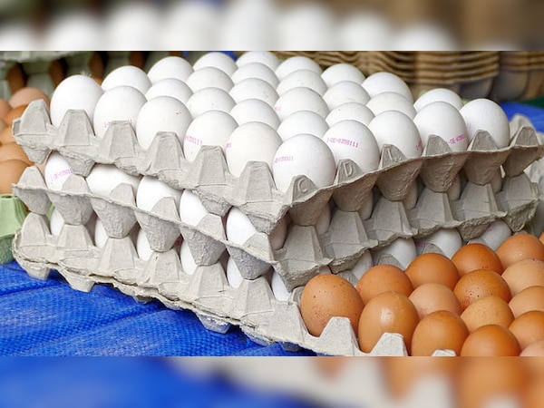 प्रतीकात्मक फोटो 