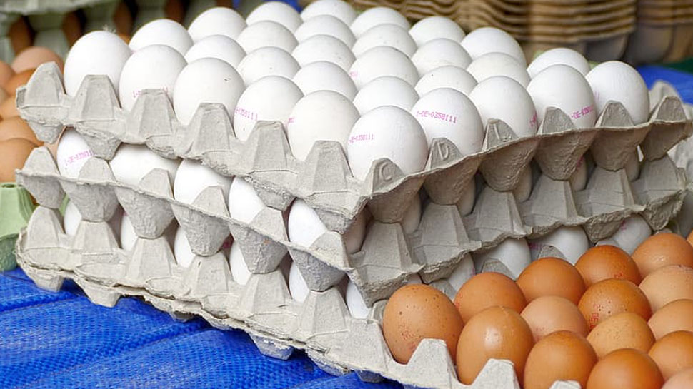 प्रतीकात्मक फोटो प्रतीकात्मक फोटो