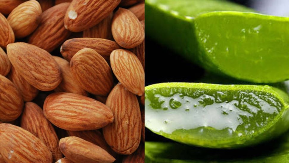 एलोवेरा और बादाम के तेल का कमाल Aloe vera and almond oil