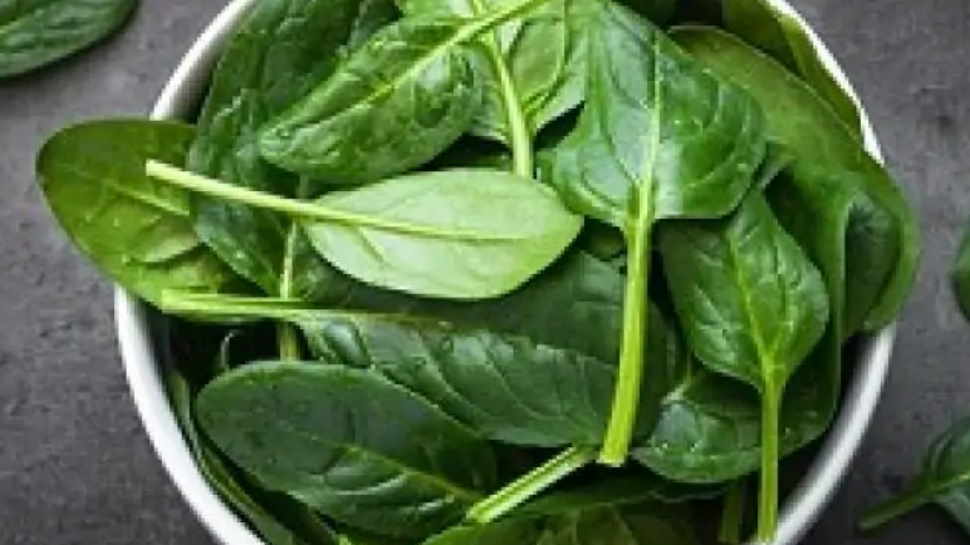 Spinach is rich in vitamins and nutrients know the benefits of eating