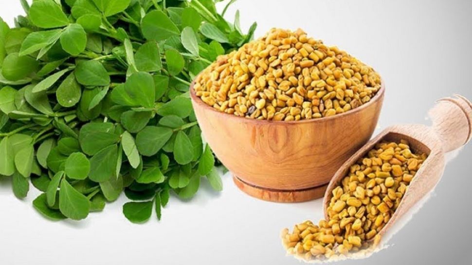 know the amazing benefits of fenugreek seeds Fenugreek Seeds Benefits