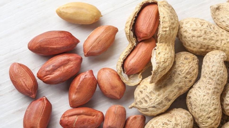 benefits of eating peanuts in winter season | Peanut Benefits: महज इतनी सी  कच्ची मूंगफली में 1 लीटर दूध जितना प्रोटीन, जानिए इसके लाभकारी गुण | Hindi  News, फूड