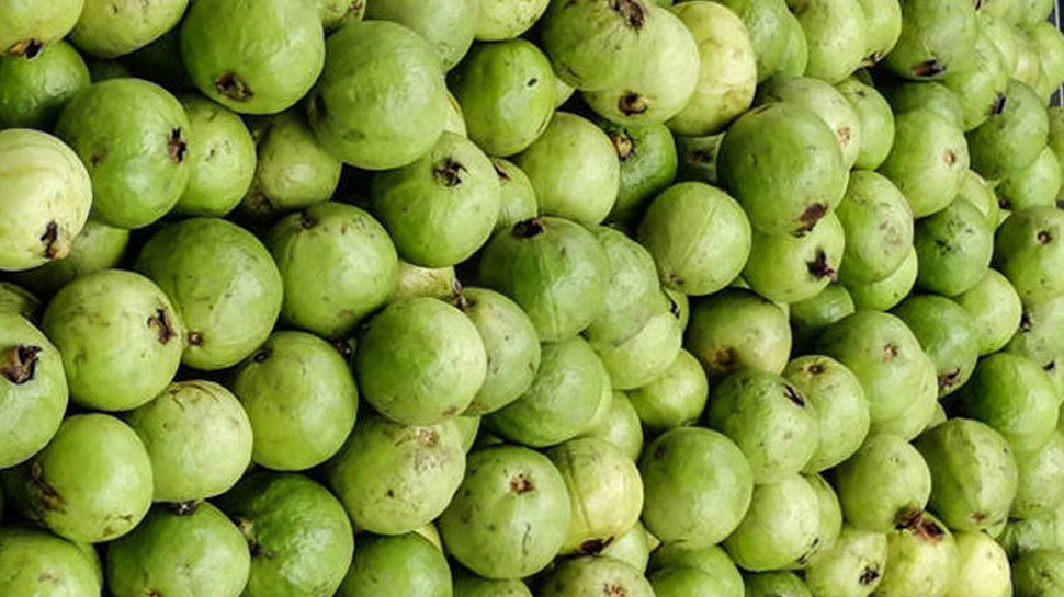 Health benefits of Guava Eating guava increases homoglobin