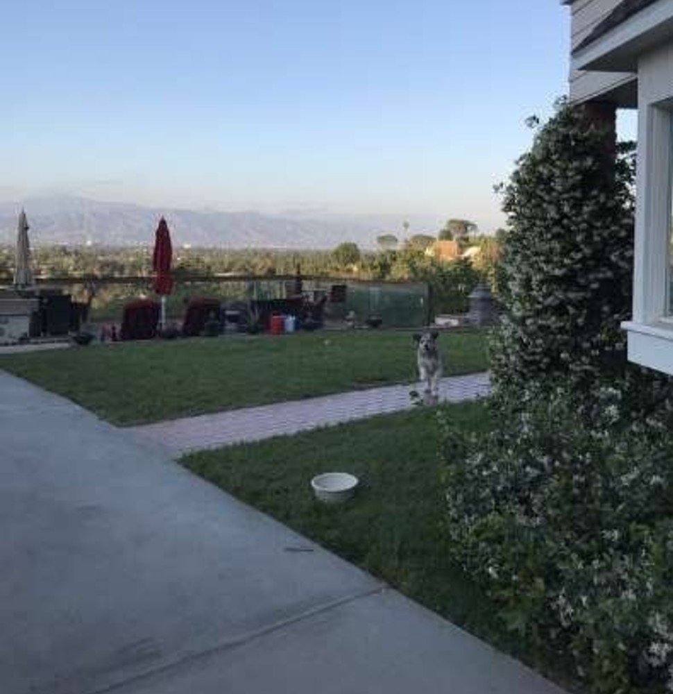 Take a inside look of Sunny Leone beautiful home | इतने आलीशान घर में