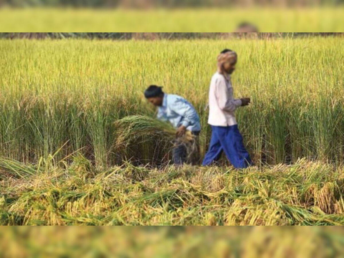 सांकेतिक तस्वीर.