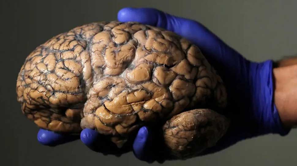 सेना के जवानों के दिमाग में लगाई जाएगी 'ब्रेन चिप ' Nostradamus Predictions 2021: Brain chip will be installed in army soldiers' mind