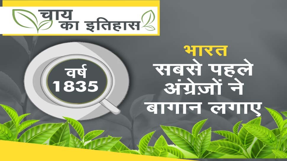 World's Most Expensive Tea Bag » STRONGER