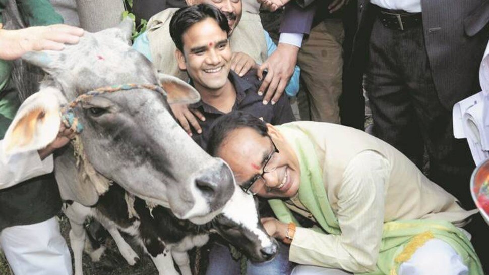 मध्य प्रदेश में पेट्रोल, डीजल, LPG पर 'गौमाता सेस' Cow Cess on Petrol Diesel in Madhya Pradesh