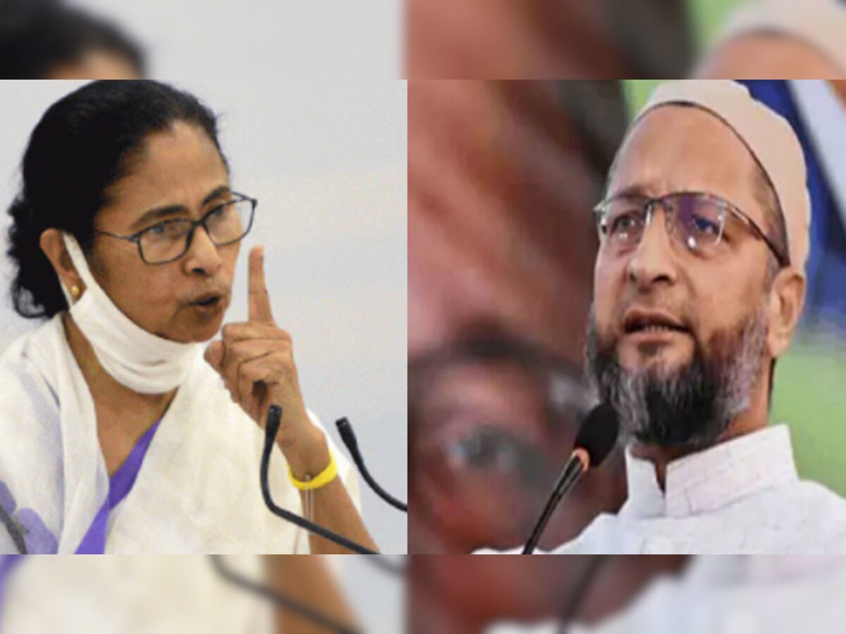 Mamata Banerjee पर ओवैसी का पलटवार, कहा- 'मुझे पैसे देकर खरीदने वाला कोई पैदा नहीं हुआ'