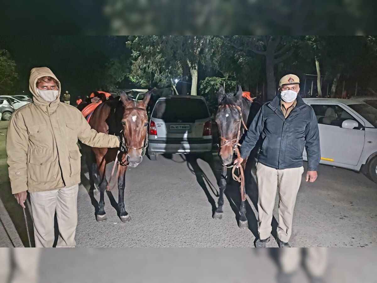 Farmers Protest: सिंघु बॉर्डर पर पुलिस संग ड्यूटी करती हैं दो घोड़ियां, जानिए इनकी खासियत