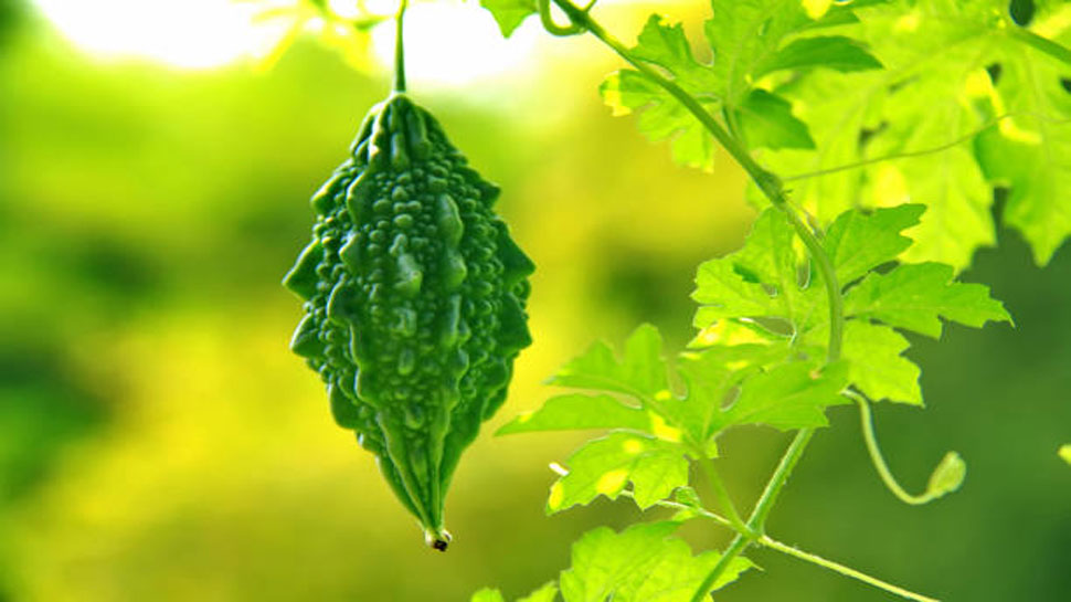 Shrink your thick thighs : 5 सब्जियाँ, जो बनाएंगी आपकी जांघें पतली और पेट को सपाट 7 shrink your thick thighs