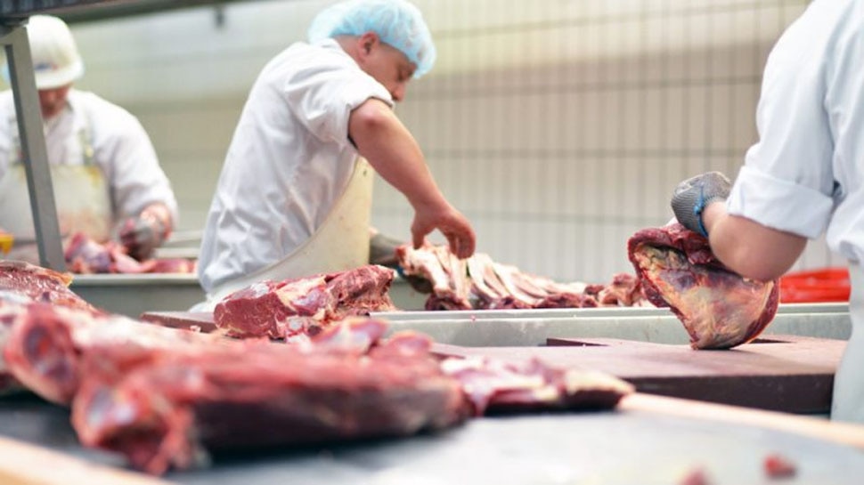 हलाल और कोशर तरीके से मारे जाने पर प्रतिबंध Ban on killing in halal and kosher ways