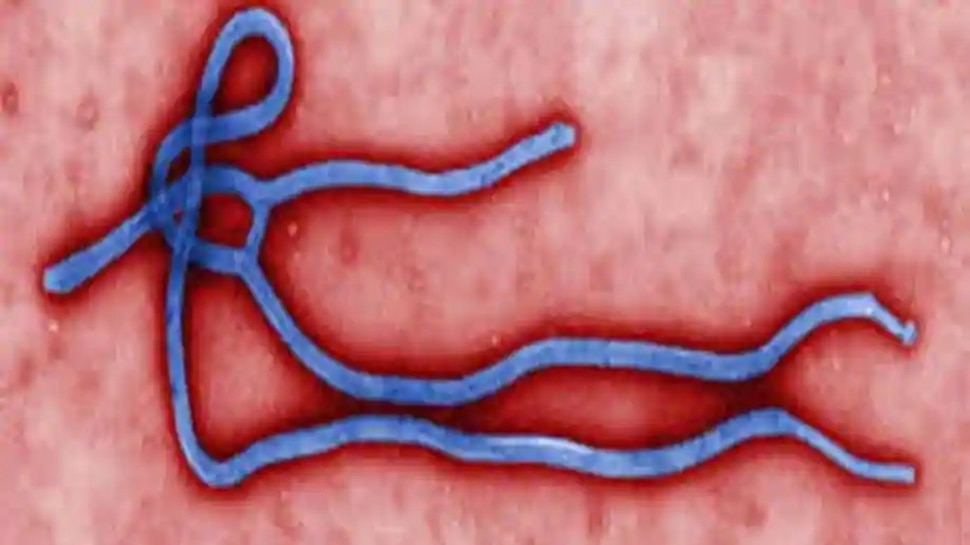 Ebola खोजने वाले वैज्ञानिक की चेतावनी, आने वाले हैं Covid-19 से भी घातक वायरस
