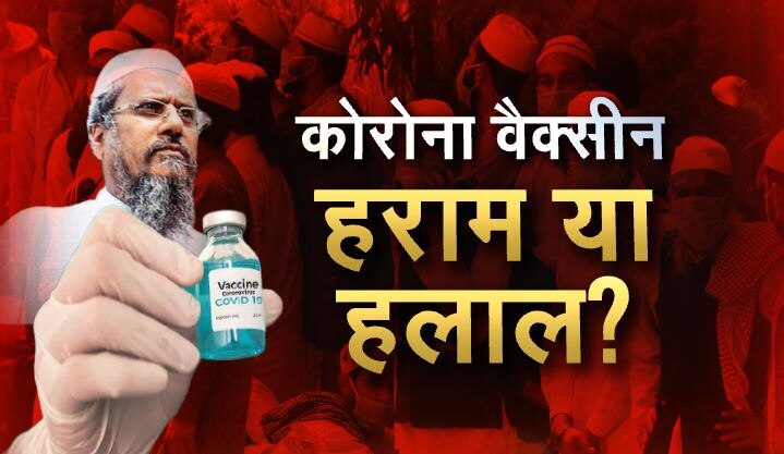 Corona Vaccine हराम या हलाल? सुअर की चर्बी पर छिड़ी जंग