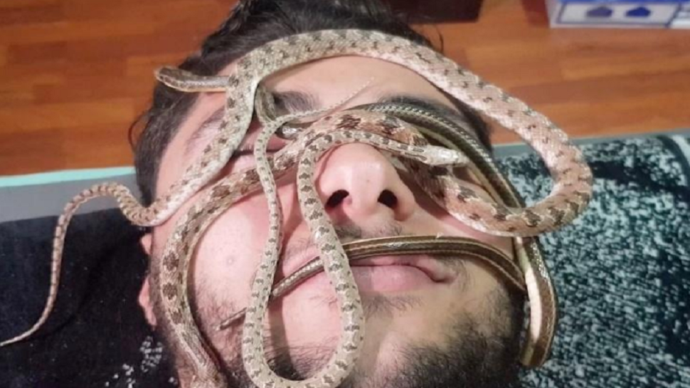 viral pictures of special snake massage in an egyptian spa centre ...