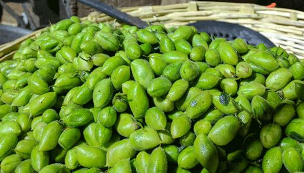 जानिए हरे चने के फायदे, सेहत से जुड़ी ये बीमारियां हो जाएंगी दूर जानिए हरे चने के फायदे, सेहत से जुड़ी ये बीमारियां हो जाएंगी दूर