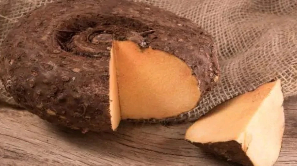 एक ऐसी सब्ज़ी जो कई बीमारियों से रखती है दूर, जानिए इस्तेमाल का तरीका एक ऐसी सब्ज़ी जो कई बीमारियों से रखती है दूर, जानिए इस्तेमाल का तरीका