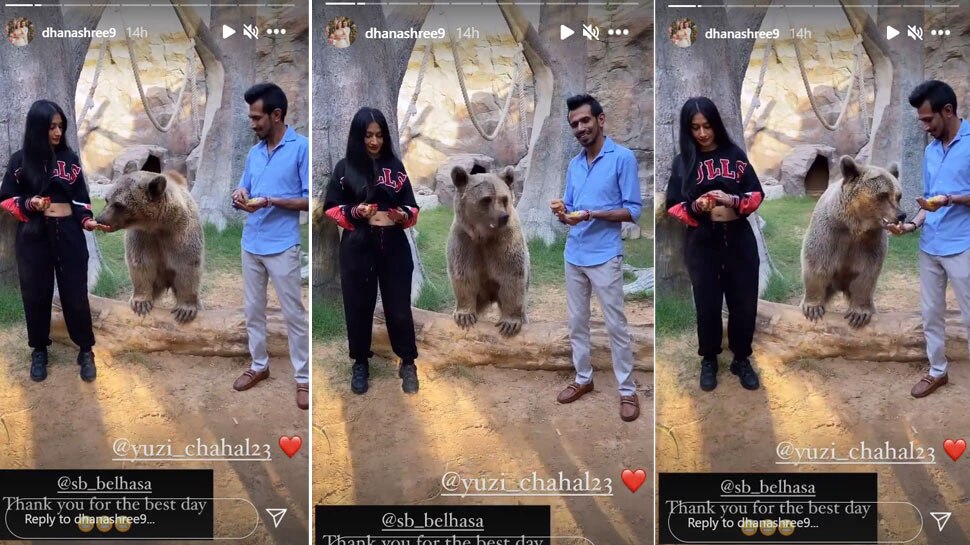 भालू से दोस्ती Yuzvendra Chahal Dhanashree Verma Honeymoon in Fame Park Duabai with Bear