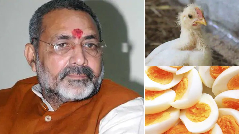 Bird Flu Alert: केंद्रीय मंत्री गिरिराज ने मीट-अंडा खाने वालों की दी यह सलाह Bird Flu Alert: केंद्रीय मंत्री गिरिराज ने मीट-अंडा खाने वालों की दी यह सलाह
