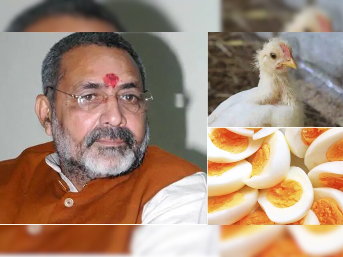 Bird Flu Alert: केंद्रीय मंत्री गिरिराज ने मीट-अंडा खाने वालों की दी यह सलाह
