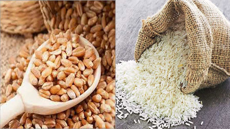 Good news for Madhya Pradesh farmers Apeda GI Tag Sharbati Wheat