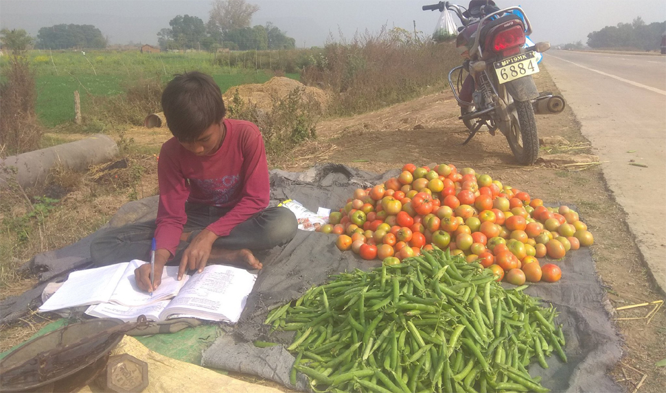 सब्जी बेचते हुए बच्चा कर रहा था पढ़ाई, उसका जज्बा देख IAS ने लिखी चंद लाइनें , वायरल हो गया Tweet सब्जी बेचते हुए बच्चा कर रहा था पढ़ाई, उसका जज्बा देख IAS ने लिखी चंद लाइनें , वायरल हो गया Tweet