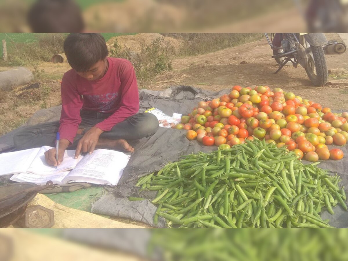 सब्जी बेचकर पढ़ाई करता पुष्पेंद्र 