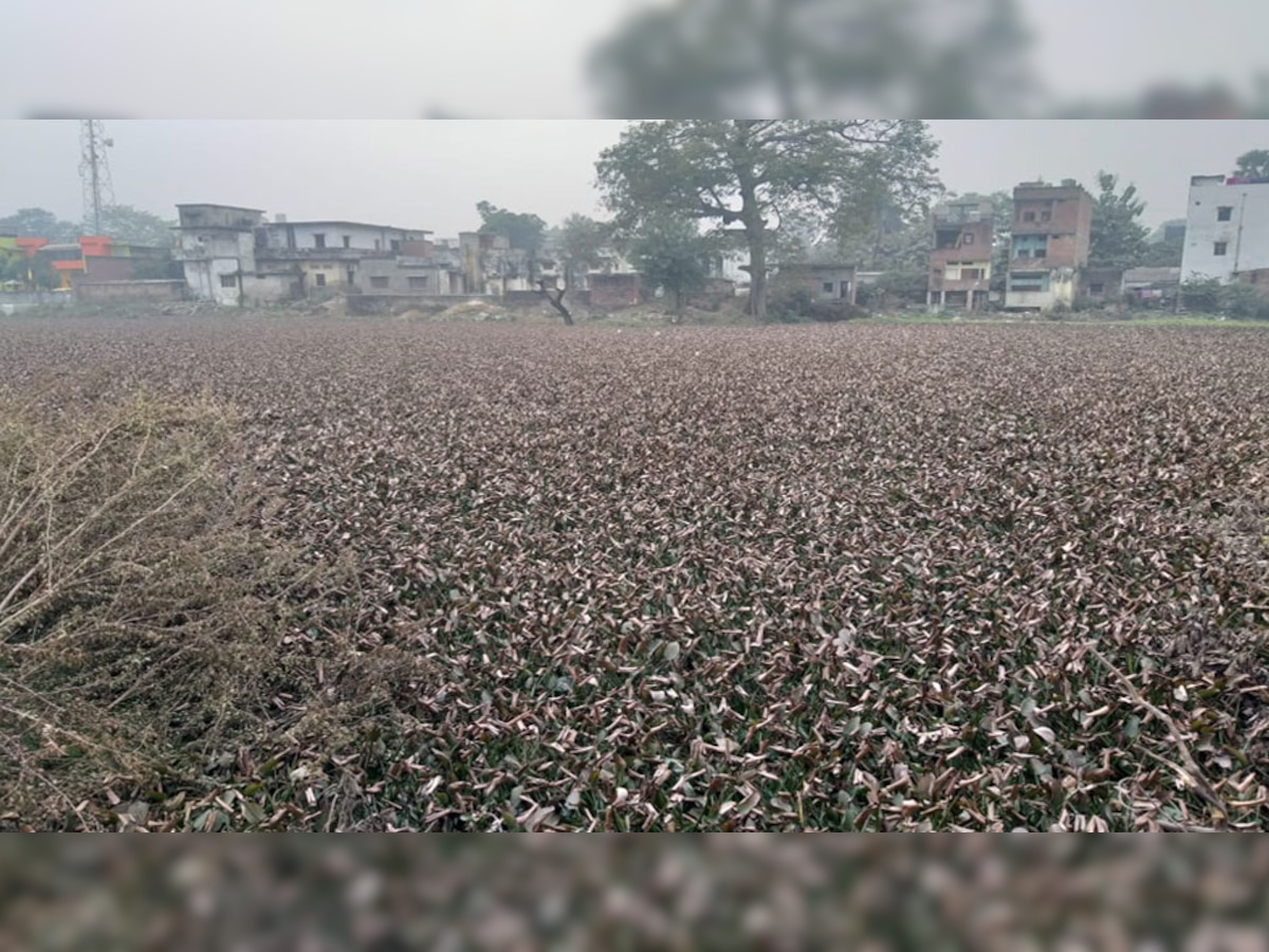 वैदिक रीति से संवर रही 107 पुराने कुंडों की सूरत, वॉटर लेवल में भी हो रहा सुधार