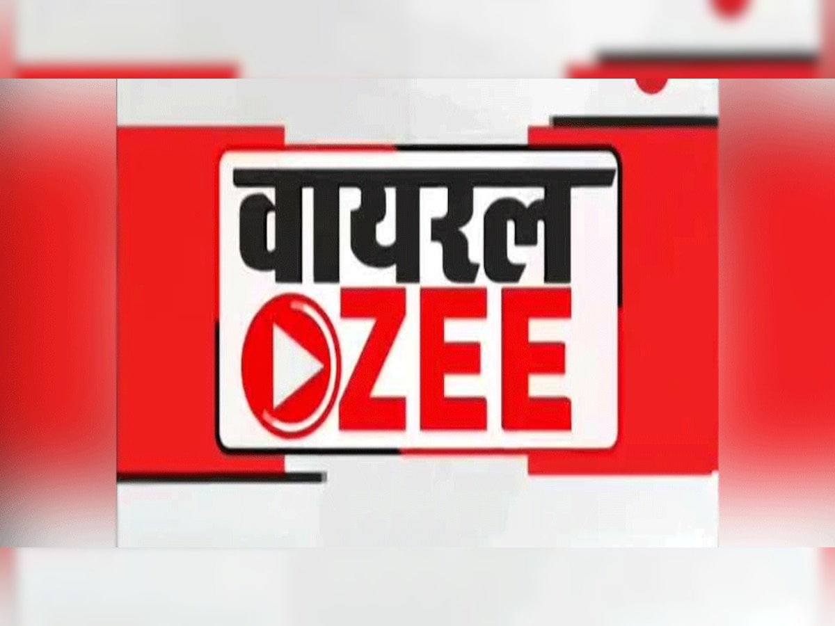 कुत्ता भिड़ गया शेर से, भैंस करने लगी डांस, देखिए टॉप-5 वायरल वीडियो, वीकेंड कर लीजिए `हैप्पी-हैप्पी`