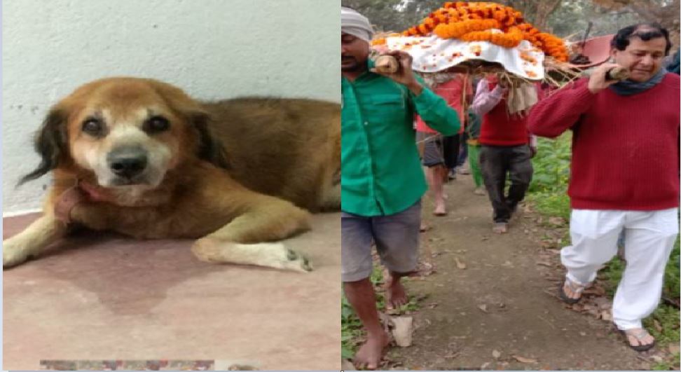 कुत्ते के प्रति दिखाई अपनी ऐसी वफाई, मरने के बाद हिंदू रीति-रिवाज से की अंतिम विदाई