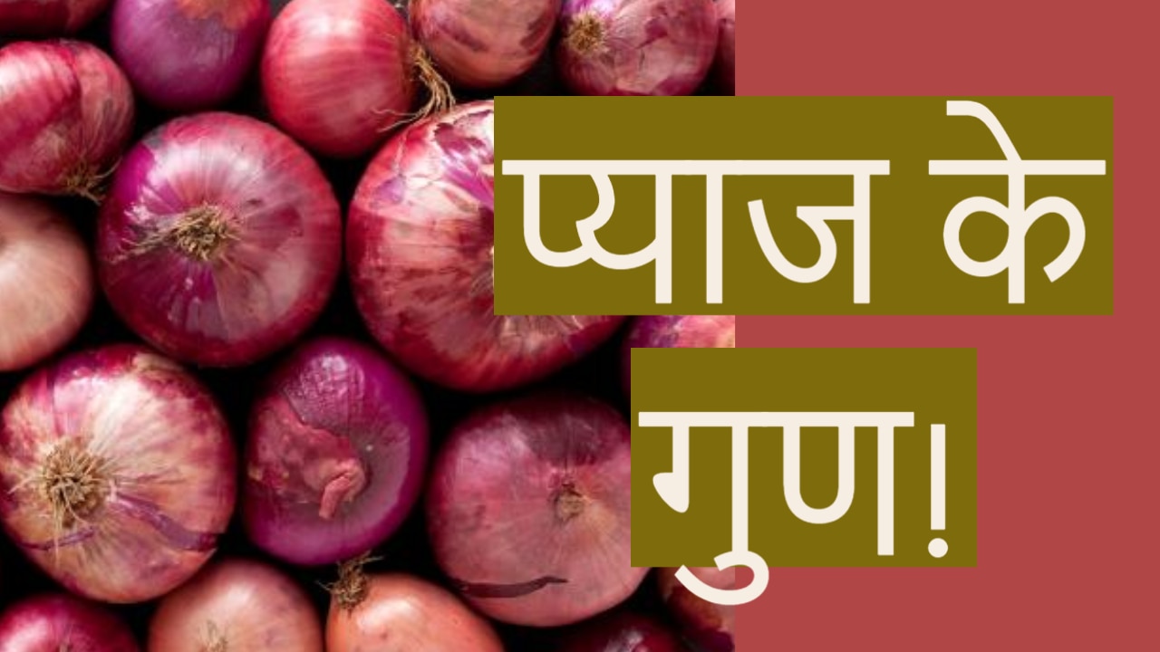 Health benefits of onion give relief in joints pain and kidney stone पथरी और जोड़ों के दर्द के
