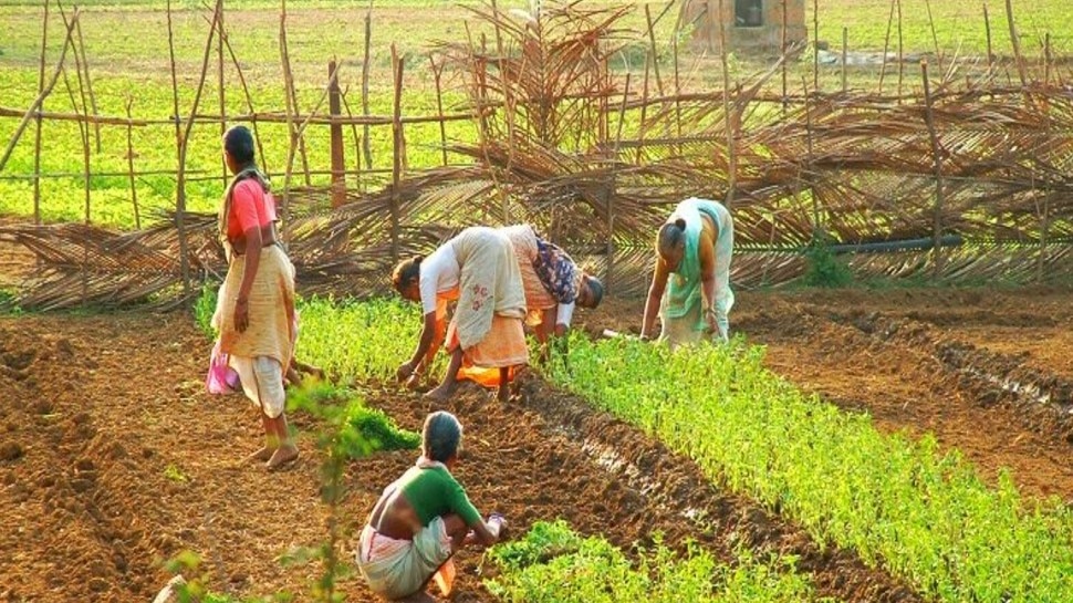 सरकार बढ़ा सकती है 6,000 रुपये की राशि Govt may raise funds from rupees 6,000