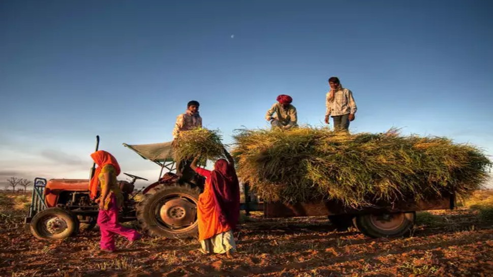 6,000 रुपये से बढ़ाकर 10,000 हो सकती है राशि help may be increased from 6,000 to 10,000