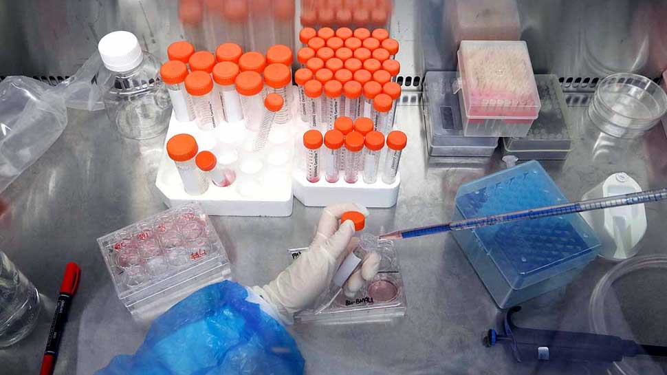 लेंटीवायरल वेक्टर थैरेपी करेगी मदद Lentiviral vector therapy will help