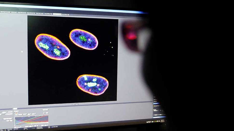 शुरू होगा इंसानों पर क्लीनिकल ट्रायल Clinical trial will start on humans soon
