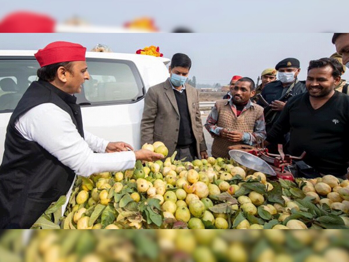 अखिलेश यादव ने कहा- 'इलाहाबादी अमरूद' का भी नाम बदलकर 'प्रयागराजी अमरूद' हो गया है? मंत्री ने दिया जवाब