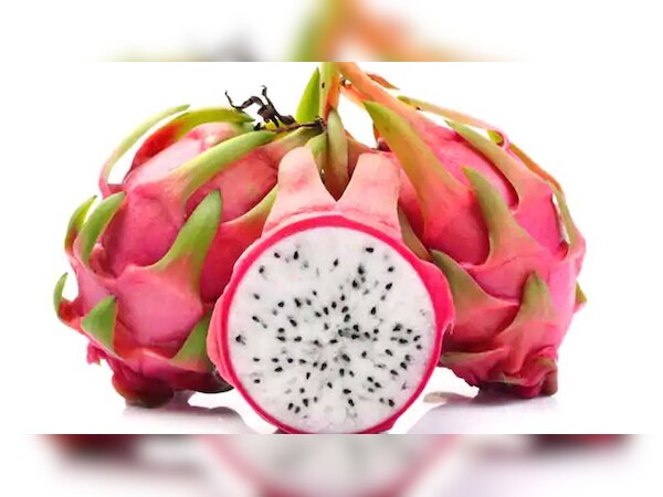 ड्रैगन फ्रूट बना 'कमलम': इसका 1 पौधा देता है 25 साल तक फल, जानें इसके फायदे