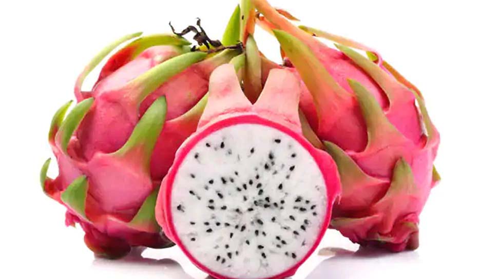 ड्रैगन फ्रूट बना 'कमलम': इसका 1 पौधा देता है 25 साल तक फल, जानें इसके फायदे ड्रैगन फ्रूट बना 'कमलम': इसका 1 पौधा देता है 25 साल तक फल, जानें इसके फायदे