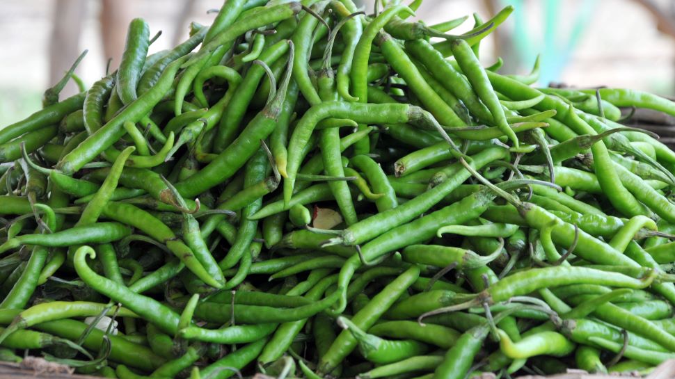 green chilli benefits and side effects for health Green Chilli क्या