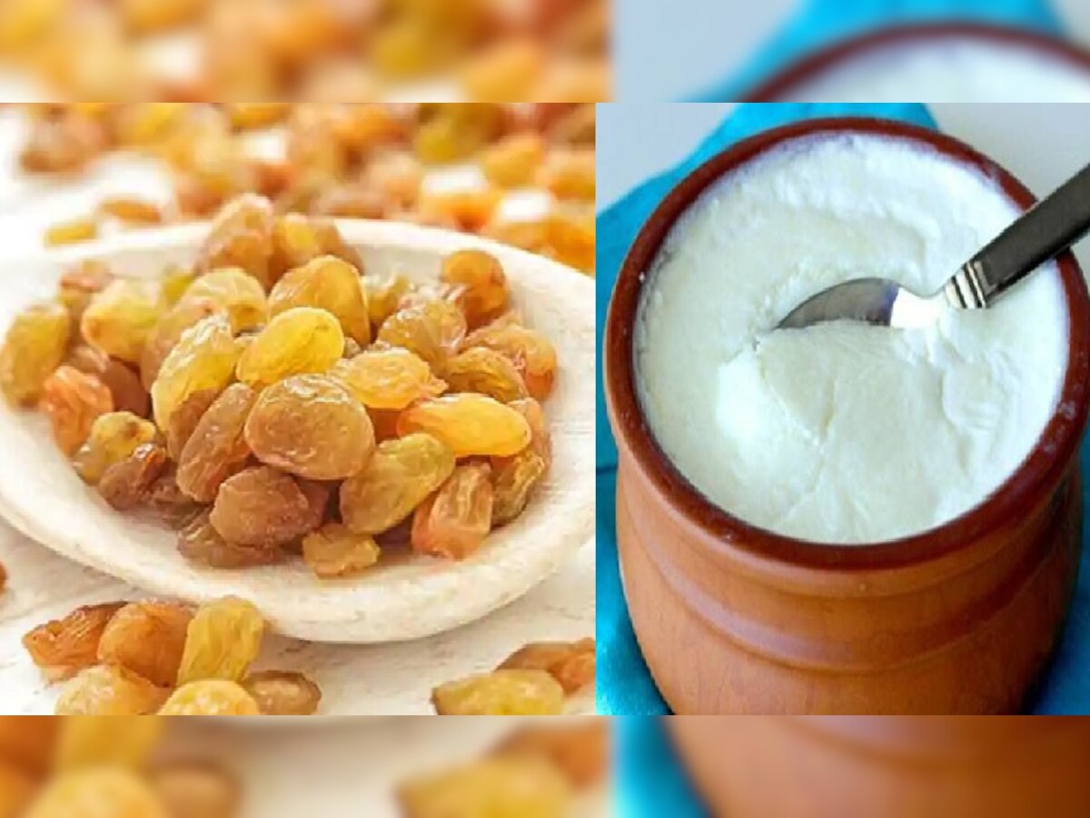 Dahi-Kishmis Benefits: रहना है फिट तो ऐसे करें दही-किशमिश का सेवन, चौंका देंगे फायदे