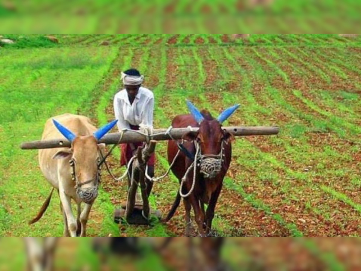 Budget 2021: सरकार ने किया कृषि-फिशिंग सेक्टर का ऐलान, जानें कैसे होगा किसानों को फायदा