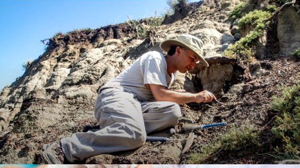 Dinosaur Footprint Found