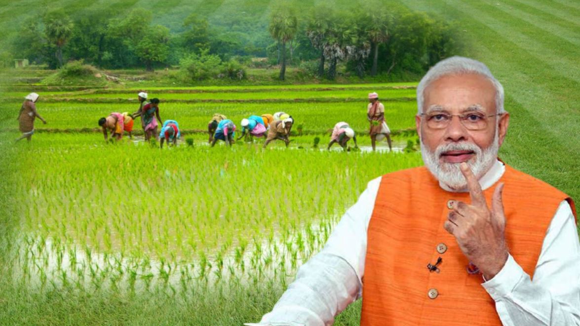 PM Kisan Yojana: &#039;समाधान दिवस&#039; पर नहीं निकल सका समाधान, तो अपनाएं ये विकल्प