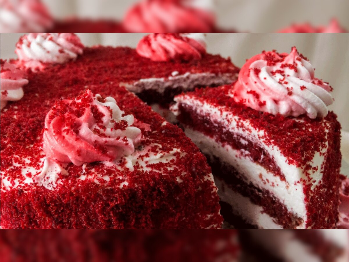 Prepare Red Velvet Cake In A Cooker For Partner On Valentine Day Know Recipe Madhya Pradesh 3755