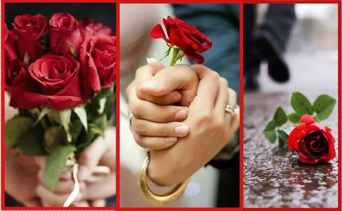 Rose Day Special: एक्सपेक्टेशन Vs रियलिटी