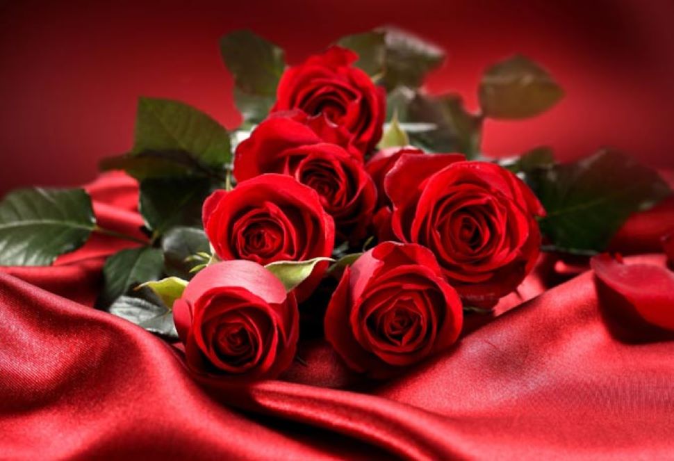rose day 2021 valentine s Day 2021 Know what message is in the rose of  which color| Valentine&#39;s Day 2021: Rose Day 2021 के साथ Valentine Week का  आगाज, जानें किस रंग