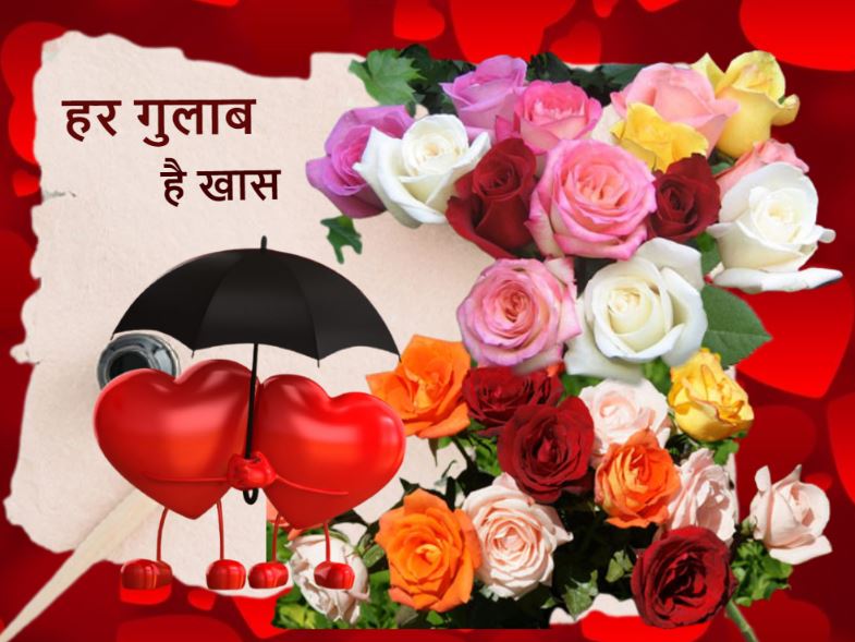 Happy Rose Day कहने से पहले जानिए किस गुलाब में कौन सी Feeling