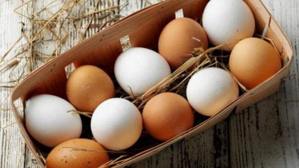 अंडे को सुपरफूड माना जाता है egg is considered superfood