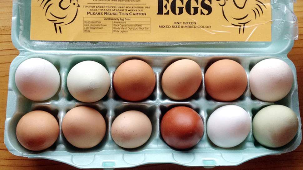 ब्रेन फंक्शन के लिए भी फायदेमंद है अंडा egg is good for brain